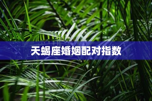 天蝎座婚姻配对指数