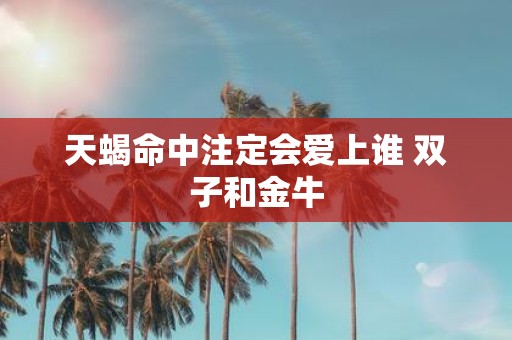 天蝎命中注定会爱上谁 双子和金牛