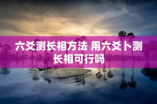 六爻测长相方法 用六爻卜测长相可行吗
