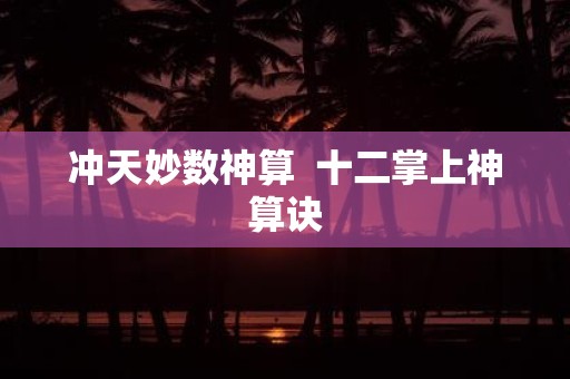 冲天妙数神算 十二掌上神算诀