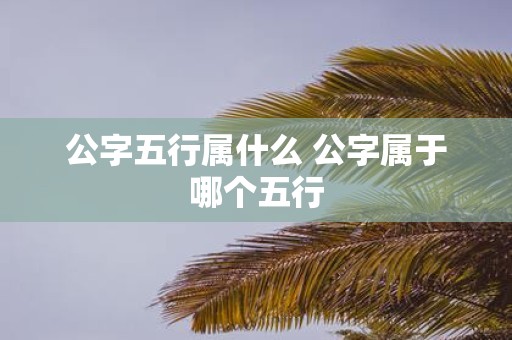 公字五行属什么 公字属于哪个五行