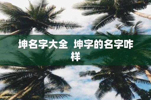 坤名字大全 坤字的名字咋样
