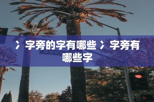 冫字旁的字有哪些 冫字旁有哪些字