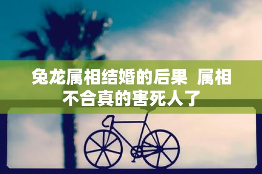 兔龙属相结婚的后果 属相不合真的害死人了