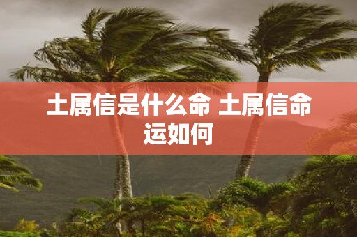 土属信是什么命 土属信命运如何