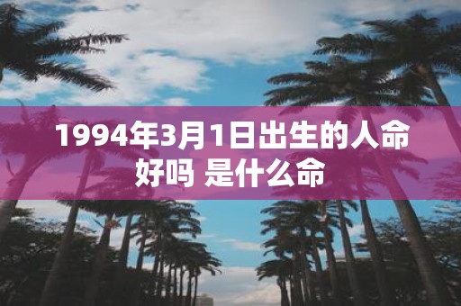1994年3月1日出生的人命好吗 是什么命