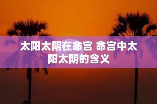 太阳太阴在命宫 命宫中太阳太阴的含义