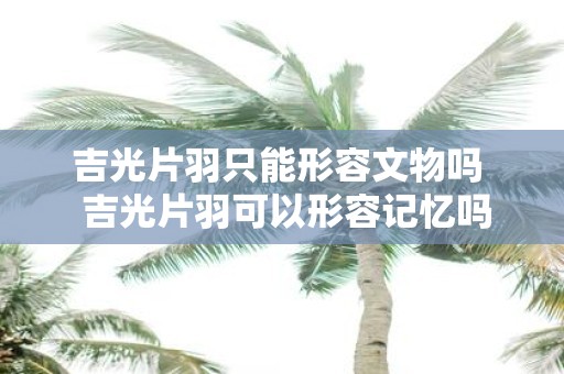 吉光片羽只能形容文物吗 吉光片羽可以形容记忆吗