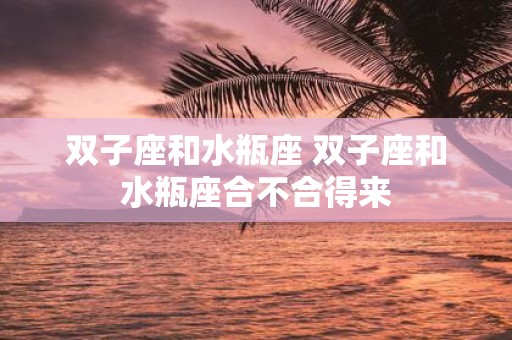 双子座和水瓶座 双子座和水瓶座合不合得来