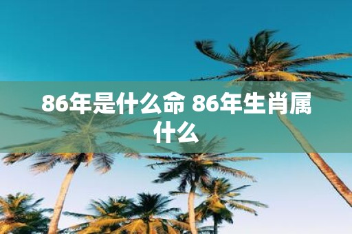 86年是什么命 86年生肖属什么