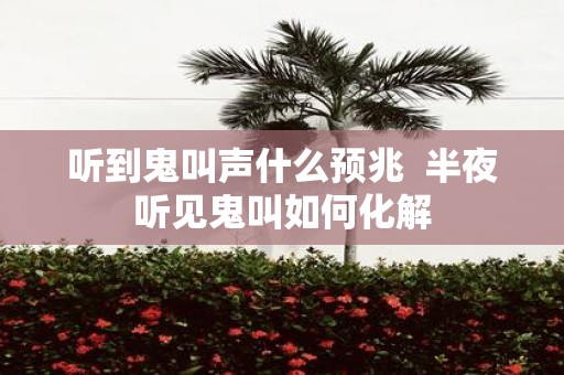 听到鬼叫声什么预兆 半夜听见鬼叫如何化解