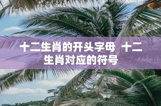 十二生肖的开头字母 十二生肖对应的符号