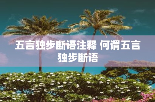 五言独步断语注释 何谓五言独步断语