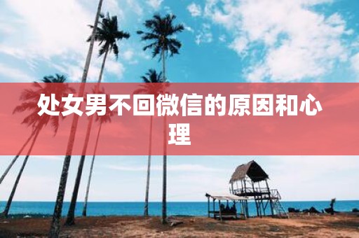 处女男不回微信的原因和心理