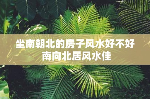 坐南朝北的房子风水好不好 南向北居风水佳
