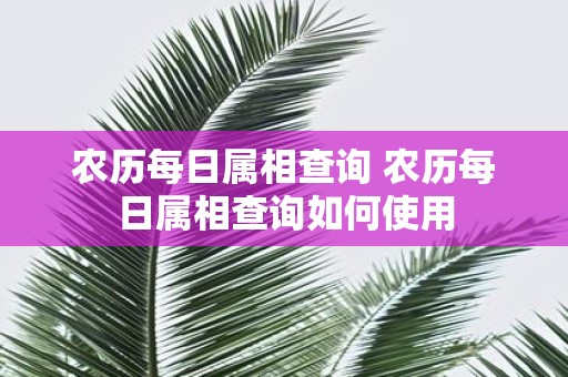 农历每日属相查询 农历每日属相查询如何使用 农历每日属相查询 农历每日属相查询如何使用
