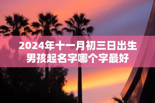 2025年十一月初三日出生男孩起名字哪个字最好