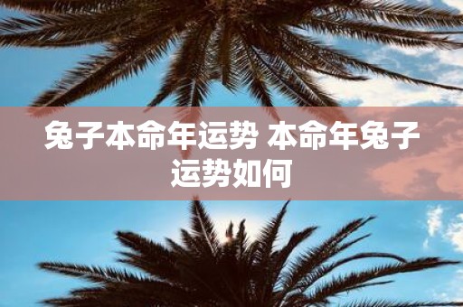 兔子本命年运势 本命年兔子运势如何