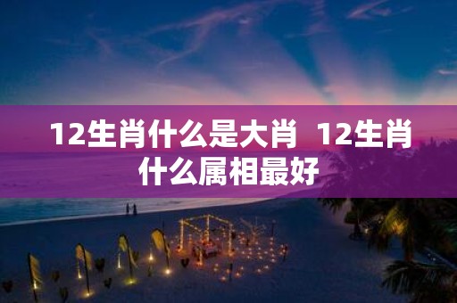 12生肖什么是大肖 12生肖什么属相最好