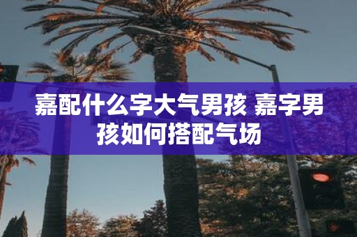 嘉配什么字大气男孩 嘉字男孩如何搭配气场