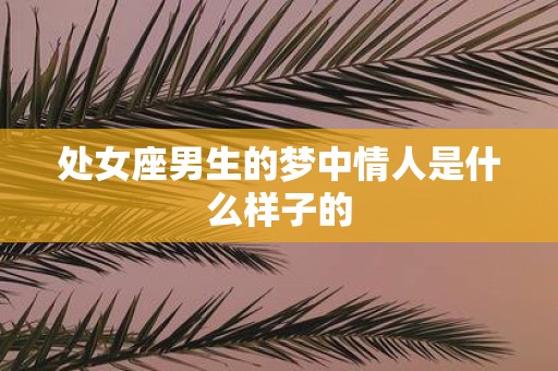 处女座男生的梦中情人是什么样子的