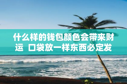 什么样的钱包颜色会带来财运 口袋放一样东西必定发财