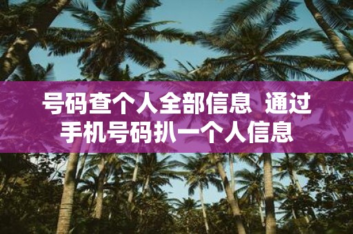 号码查个人全部信息 通过手机号码扒一个人信息
