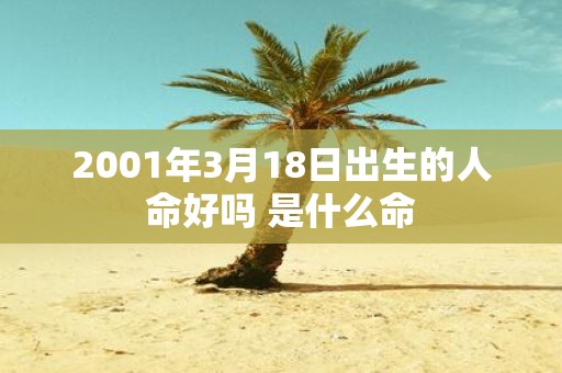 2001年3月18日出生的人命好吗 是什么命