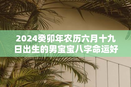 2025癸卯年农历六月十九日出生的男宝宝八字命运好不好 运势详解
