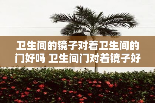 卫生间的镜子对着卫生间的门好吗 卫生间门对着镜子好吗