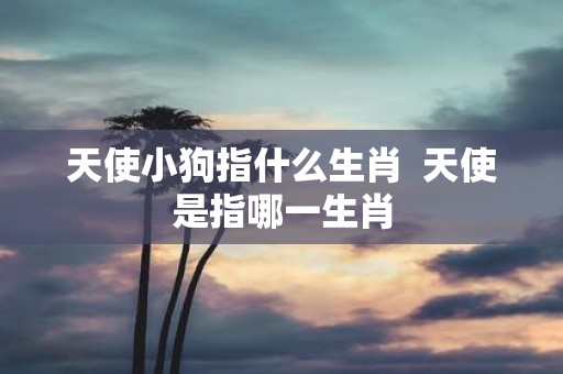 天使小狗指什么生肖 天使是指哪一生肖