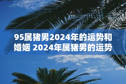 95属猪男2025年的运势和婚姻 2025年属猪男的运势和婚姻如何