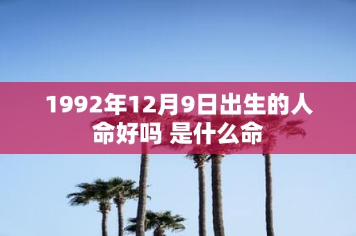 1992年12月9日出生的人命好吗 是什么命