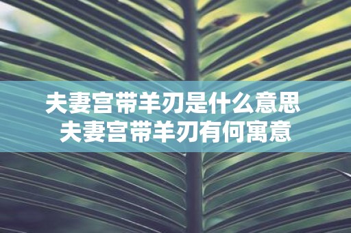 夫妻宫带羊刃是什么意思 夫妻宫带羊刃有何寓意