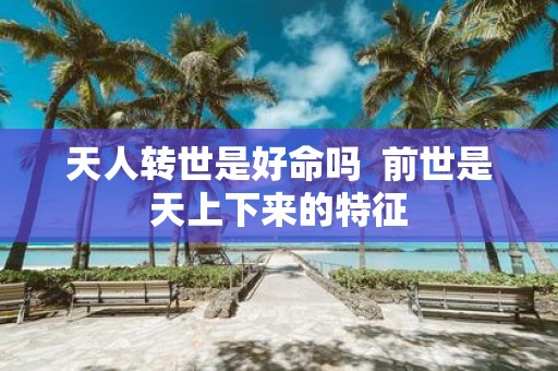 天人转世是好命吗 前世是天上下来的特征