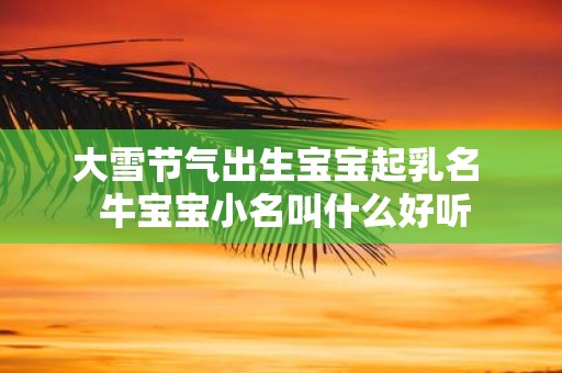 大雪节气出生宝宝起乳名 牛宝宝小名叫什么好听
