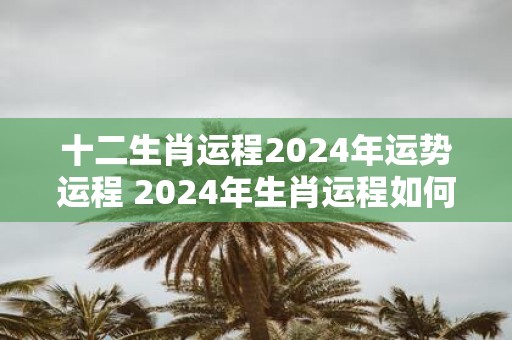 十二生肖运程2025年运势运程 2025年生肖运程如何
