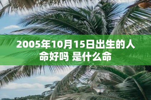 2005年10月15日出生的人命好吗 是什么命
