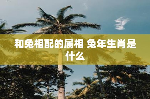 和兔相配的属相 蛇年生肖是什么