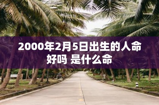 2000年2月5日出生的人命好吗 是什么命
