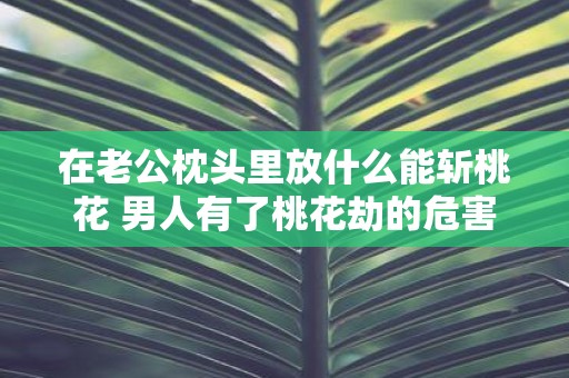 在老公枕头里放什么能斩桃花 男人有了桃花劫的危害