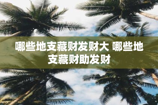 哪些地支藏财发财大 哪些地支藏财助发财