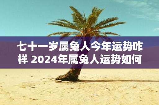 七十一岁属兔人今年运势咋样 2024年属兔人运势如何