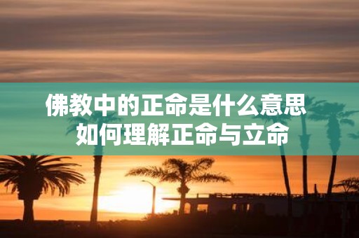佛教中的正命是什么意思 如何理解正命与立命