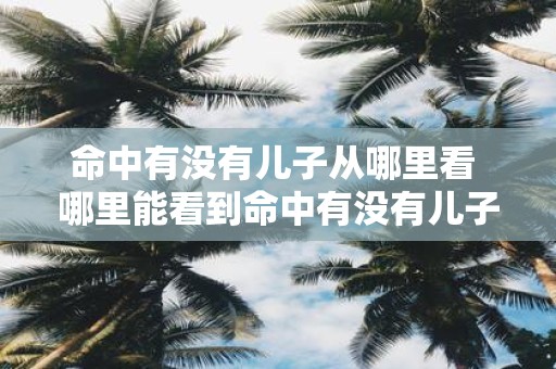 命中有没有儿子从哪里看 哪里能看到命中有没有儿子