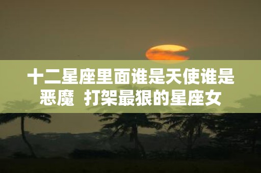 十二星座里面谁是天使谁是恶魔 打架最狠的星座女