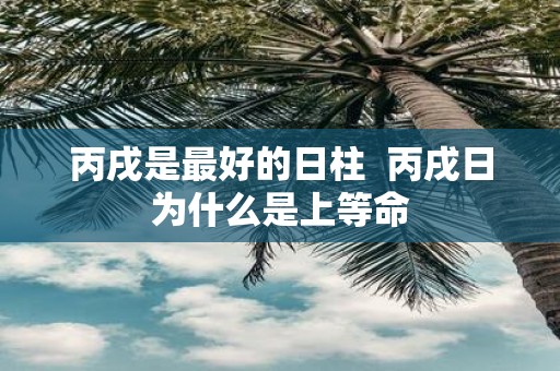 丙戌是最好的日柱 丙戌日为什么是上等命