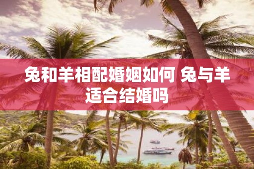 兔和羊相配婚姻如何 兔与羊适合结婚吗
