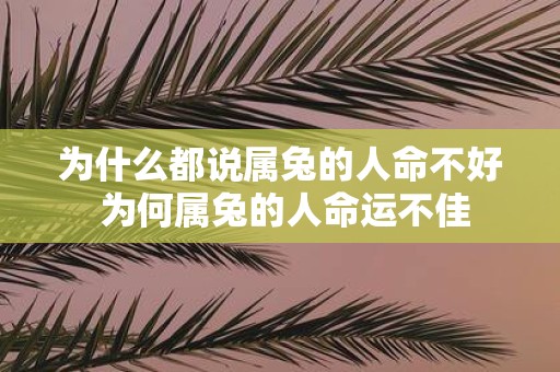 为什么都说属兔的人命不好 为何属兔的人命运不佳