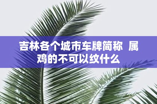 吉林各个城市车牌简称 属鸡的不可以纹什么